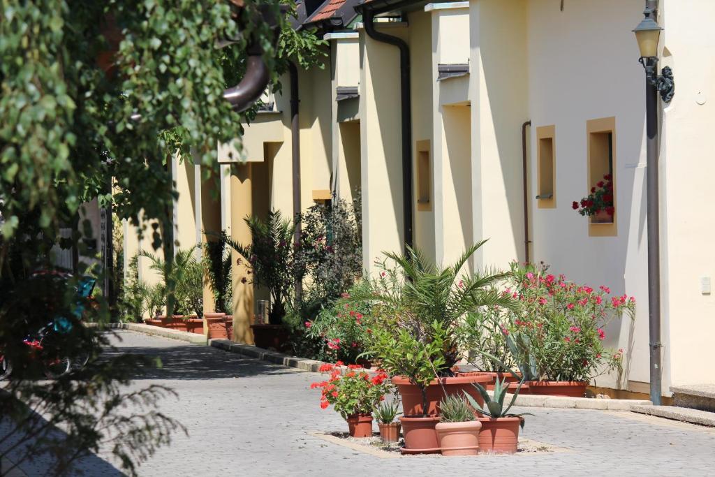 Levanda Panzio Kophaza Exterior photo